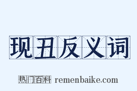 现丑反义词是什么意思的图片